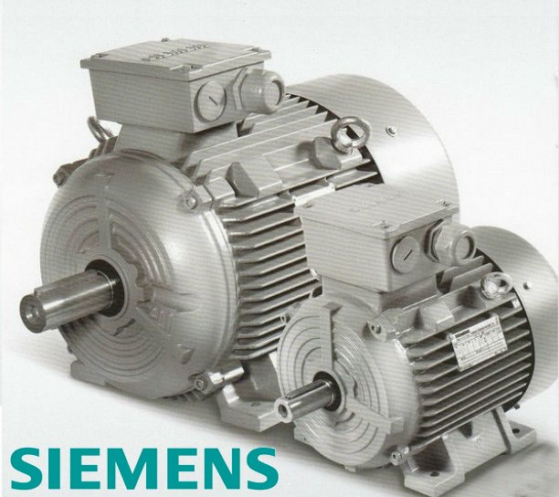 Siemens main motor